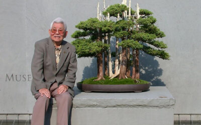 Top 5 Most Famous Bonsai Masters of All Time