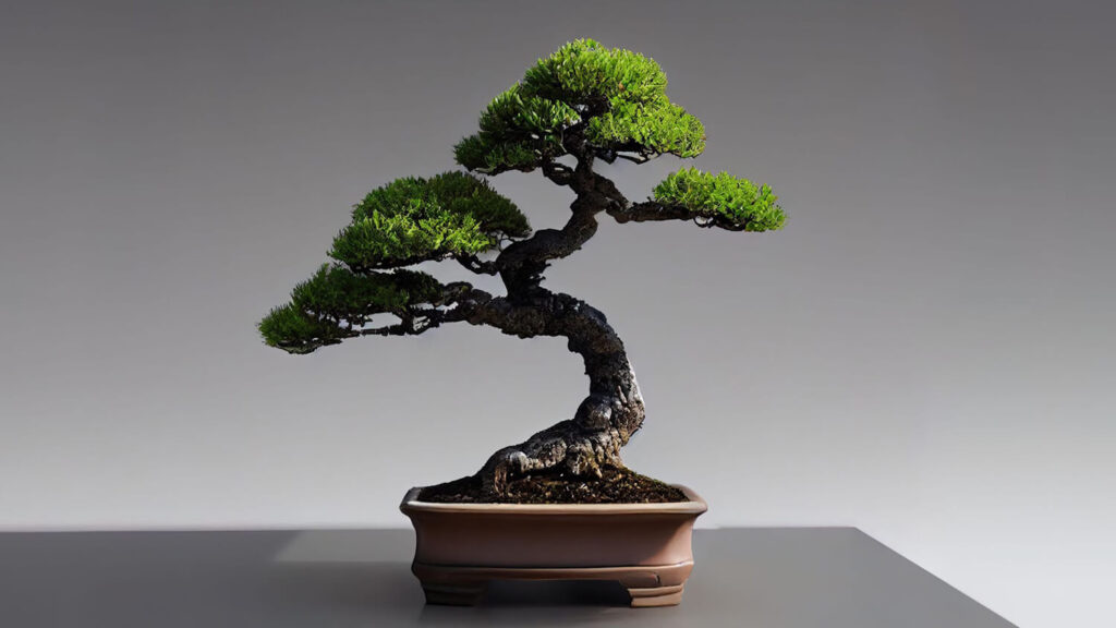 Choosing the right pot for your bonsai tree.