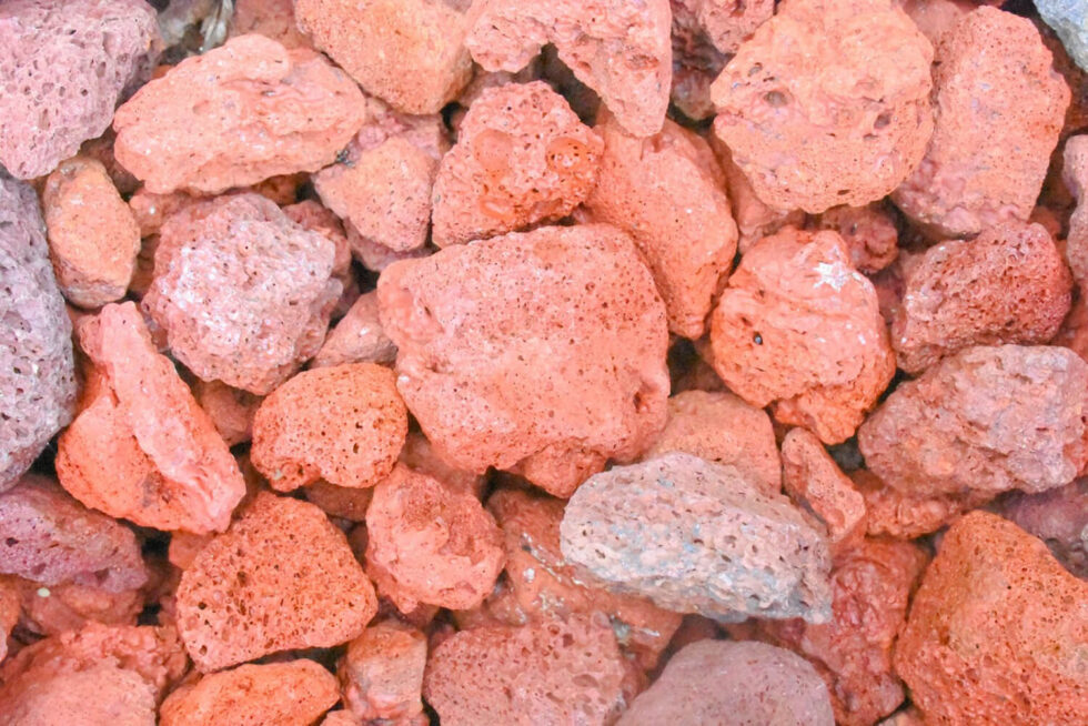 Bonsai Soil DIY Learning to Mix Your Perfect Blend