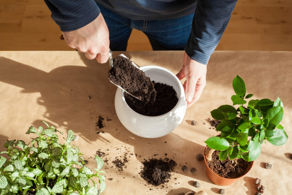 The right type of soil to use on bonsai trees.