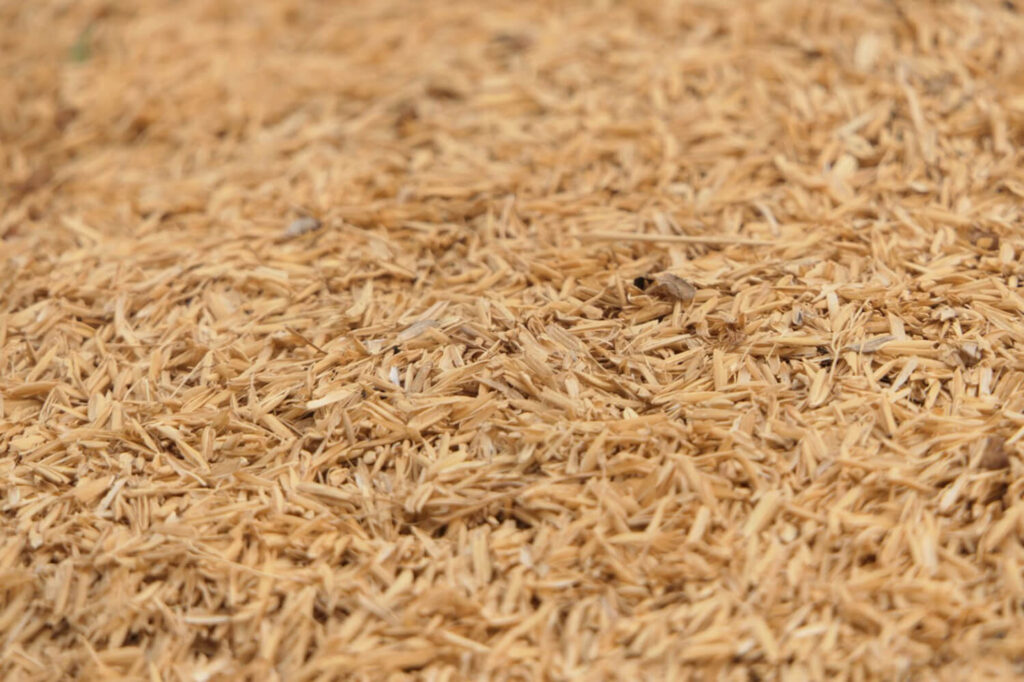 rice hull as a bonsai soil component