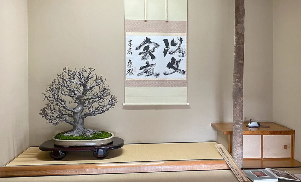 730,000 USD Chinese Quince Bonsai at Shunkaen Bonsai Museum, Japan