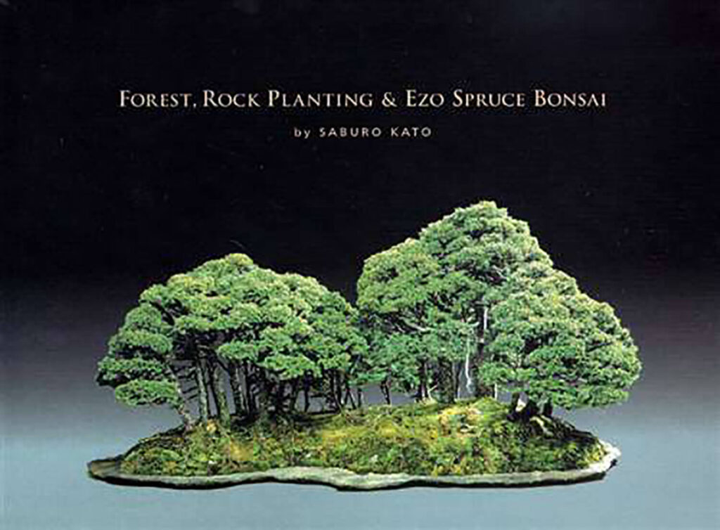 Forest: Rock Planting and Ezo Spruce Bonsai by Saburo Kato (1963)