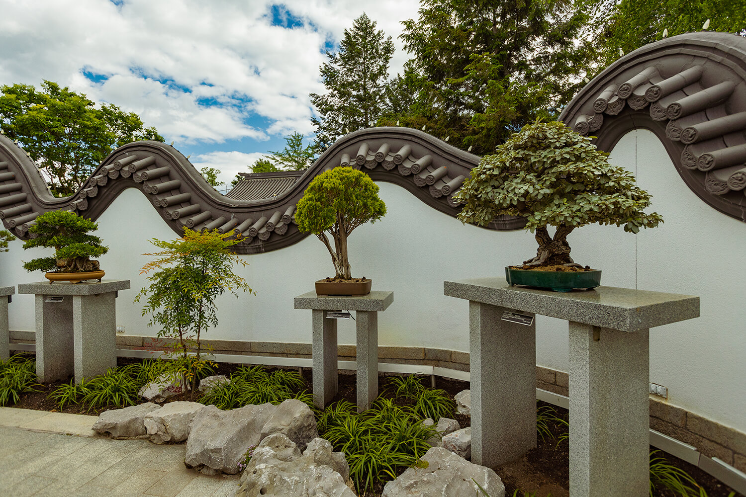 Top 25 Bonsai Gardens In The World Hooked On Bonsai