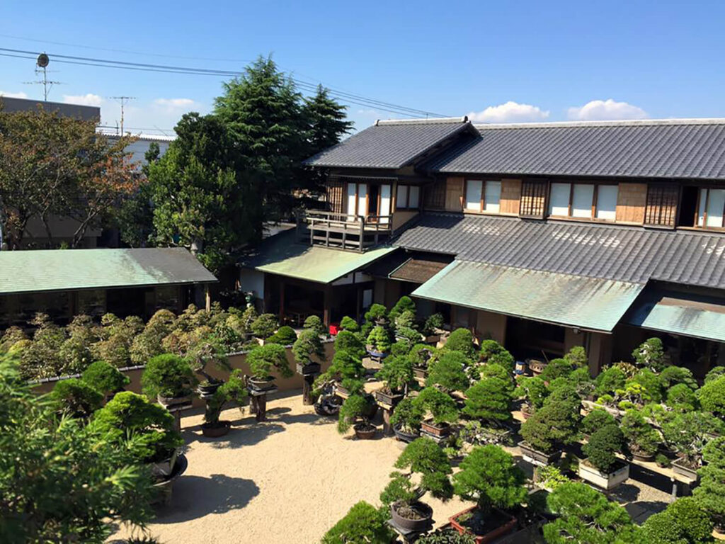 Shunka-en Bonsai Museum (Tokyo, Japan)