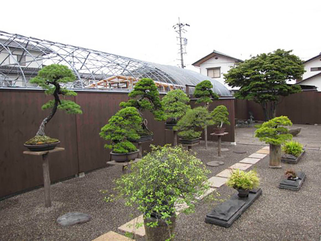 Taikan Bonsai Garden (Obuse, Japan)