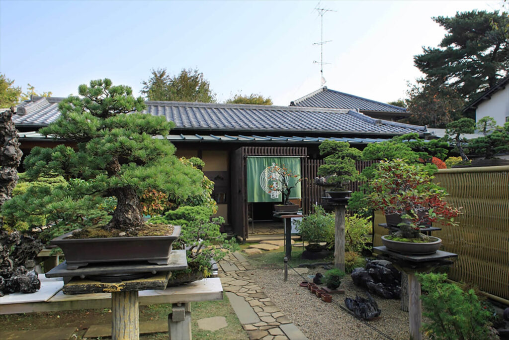 Seiko-en Bonsai Garden (Saitama, Japan)