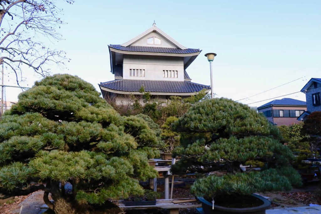 Shosetsu-en Bonsai Garden (Saitama, Japan)