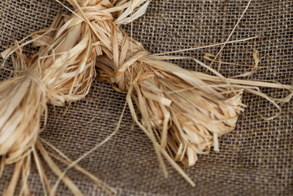 How to Shape Bonsai Using Bonsai Wire? Hooked on Bonsai