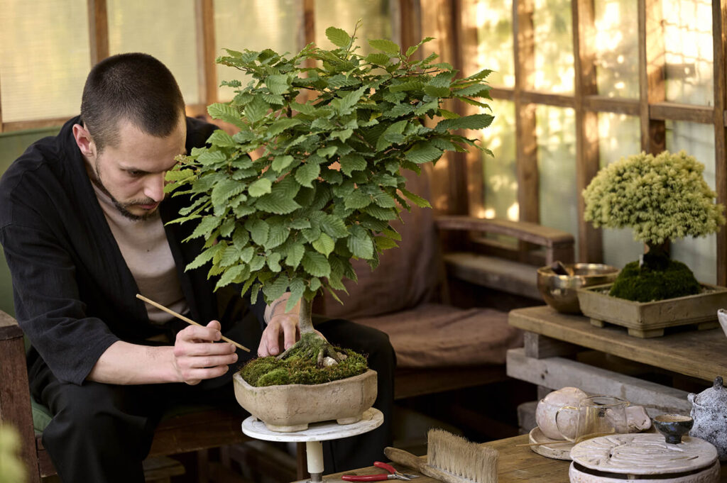 proper care for outdoor bonsai trees