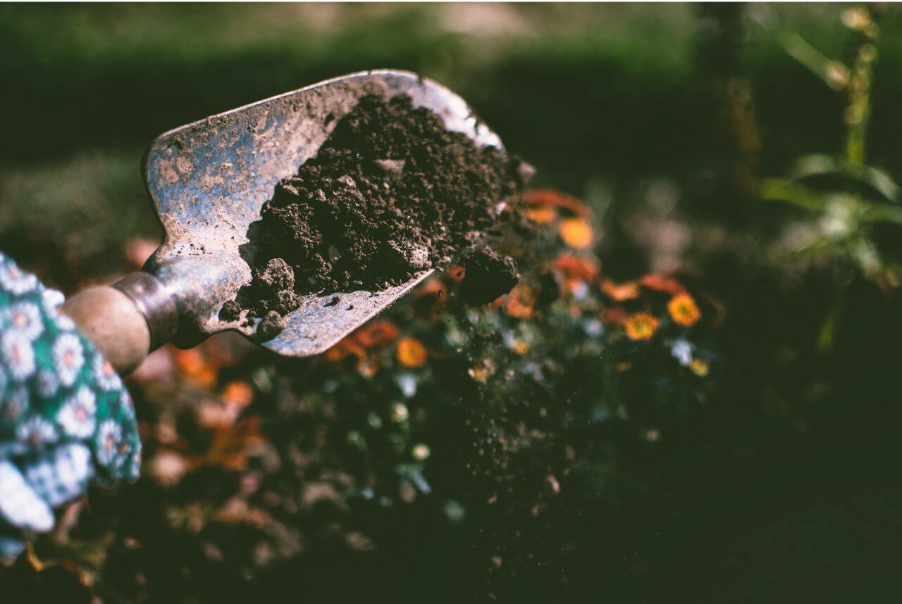 Mixing bonsai soil - akadama, grit and small grain leca : r/Bonsai