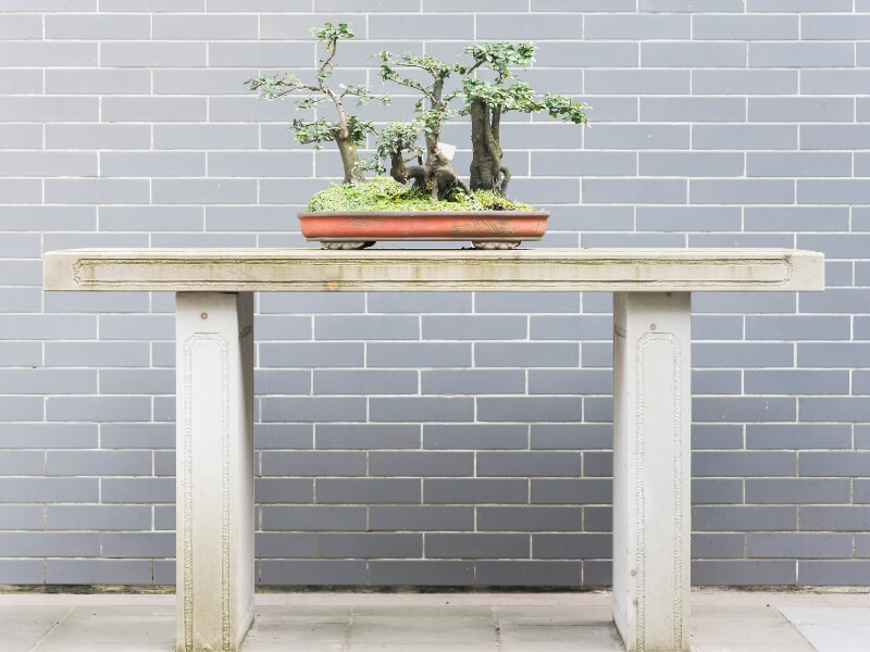 making bonsai pots enhance the beauty of your bonsai