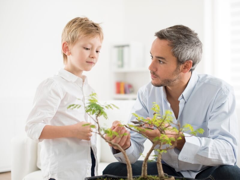 Caring for an indoor plant or an outdoor bonsai is a mindful choice.