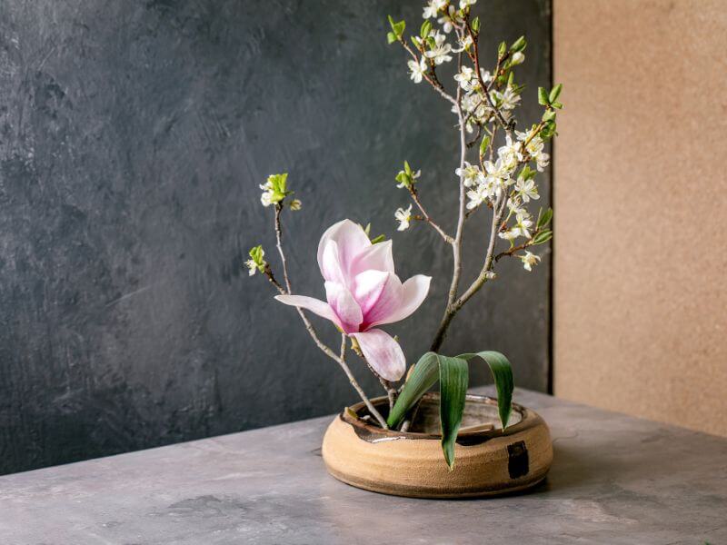 Ikebana flower arrangements aren't just interior decorations.