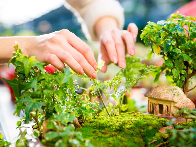 Incorporate decorative elements for your mini garden.