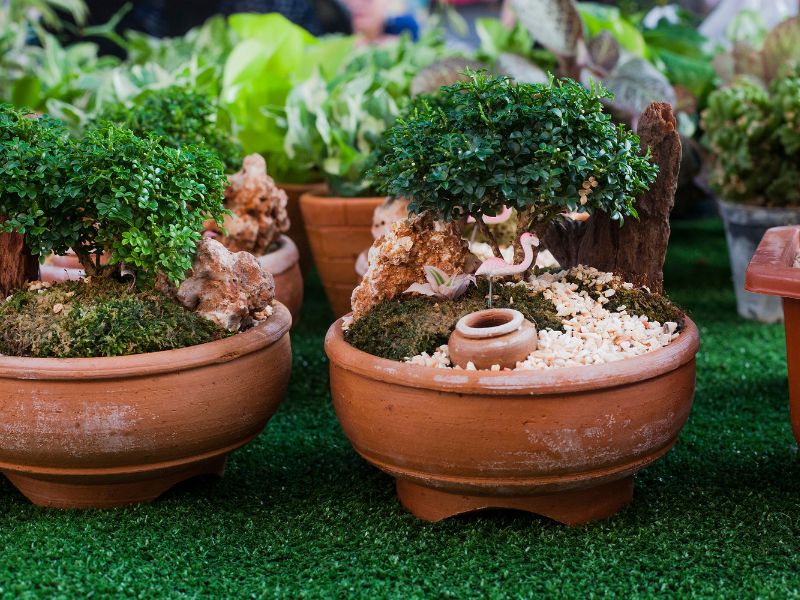 Figurines also makes your mini garden pop with style.
