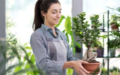 Bonsai And Sustainable Gardening: Eco-Friendly Soil Practices