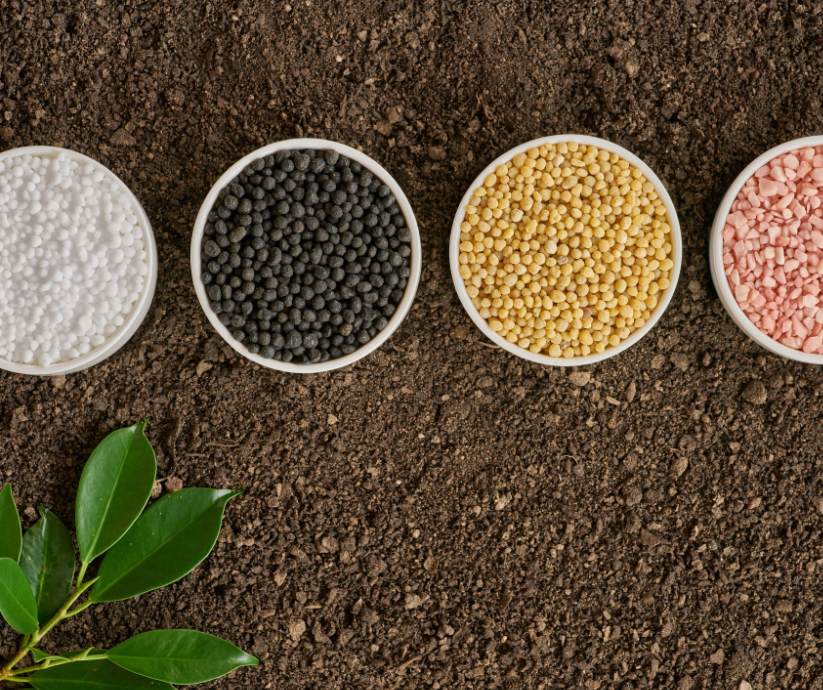 Organic vs Chemical Bonsai Fertilizer Best Choices