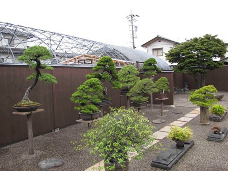 Taikan Bonsai Garden