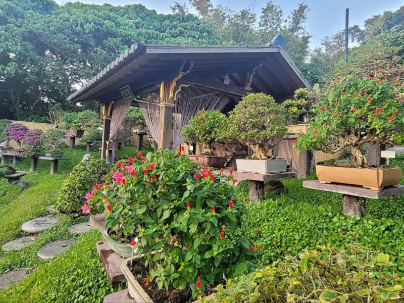 Amy Liang Bonsai Museum, Taiwan