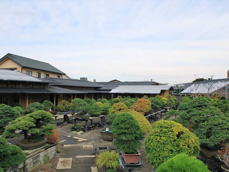 Mansei-en Bonsai Garden