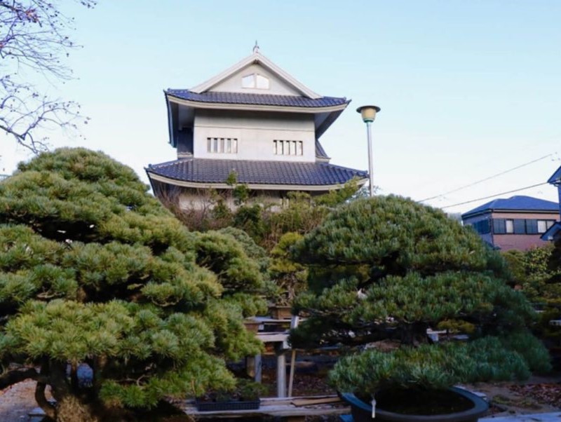 Shosetsu-en Bonsai Garden