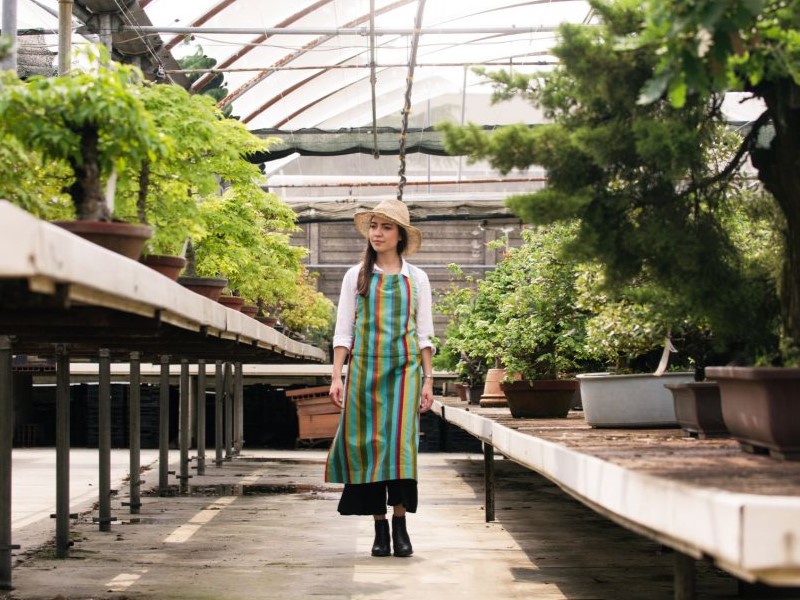 A woman walking in bonsai nursery