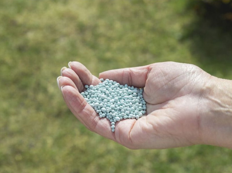 a handful of pellet fertilizer