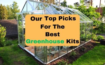 The Best Greenhouse Kits of 2025: Your Shortcut to Year-Round Gardening Bliss